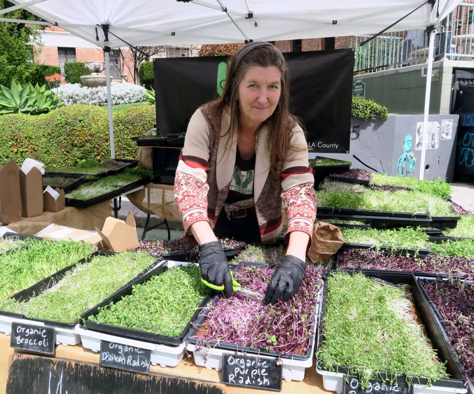 Laurette Lavin -- aka Microgreen Mama -- at the Silver Lake Farmers Market.